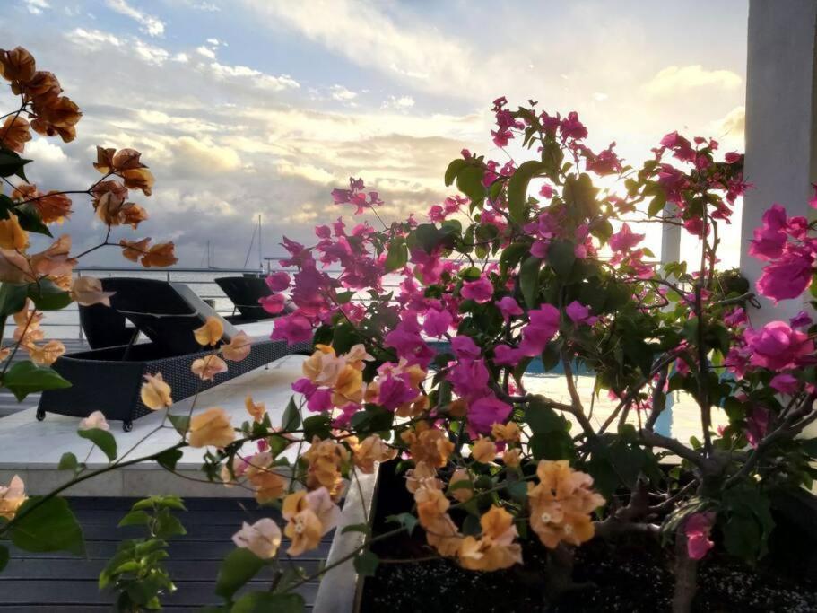 Tradewinds Apartments Simpson Bay Eksteriør billede